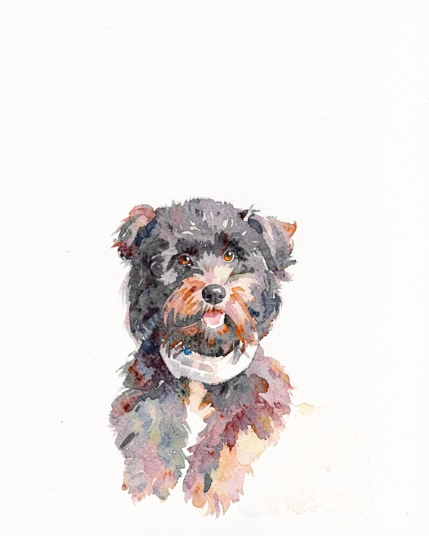 Watercolor pet portrait of Pepper, a black poodle mix, painted from a phone photo